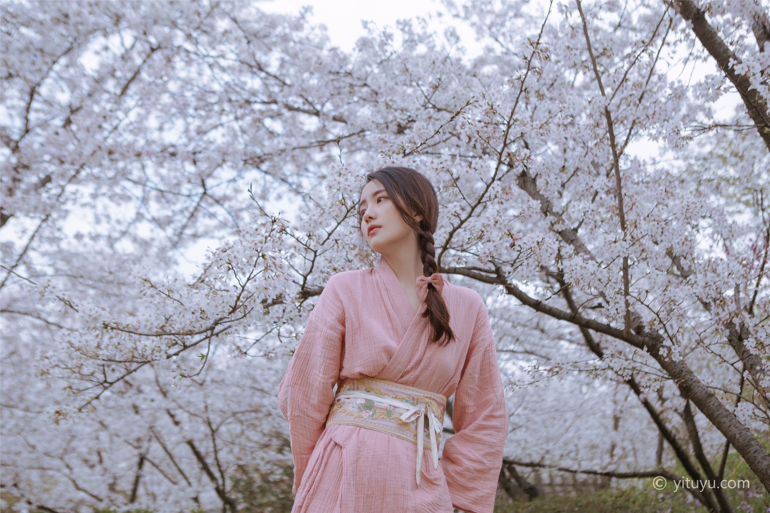 As the wind warms, cherry blossoms will be a small April